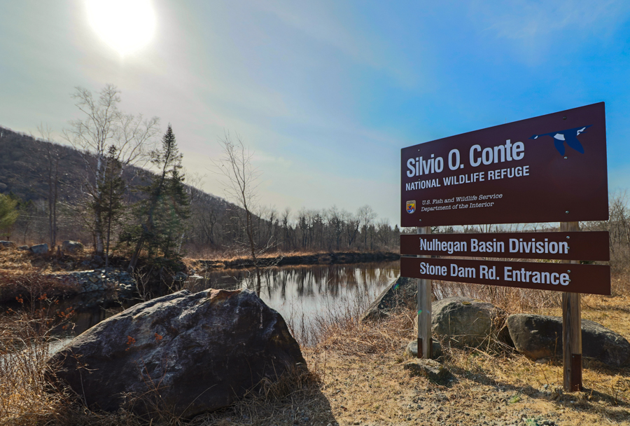 Bloomfield VT Century 21 Farm and Fоrest